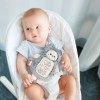Игрушка 3 в 1 с вишнёвыми косточками Котёнок с метрикой Артикул 642