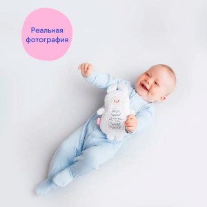 Игрушка 3 в 1 с вишнёвыми косточками Зайка с метрикой