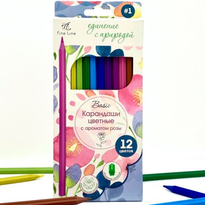 Карандаши цветные с ароматом розы Fine Line Basic 12 цветов Артикул BFP-12FR/B