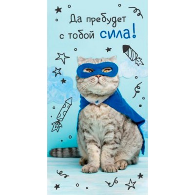 Конверт для денег "Да пребудет с тобой сила!" (котик-герой)