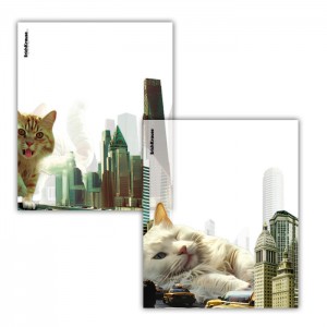 Набор пластиковых обложек ErichKrause Big City Cats, для тетрадей и дневников, 212х347мм, 80 мкм, ассорти (пакет 12 шт.)