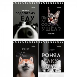 Блокнот А6 40л. на гребне Смешные питомцы