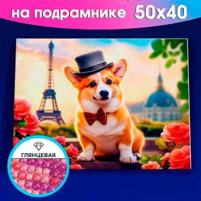 Алмаз. мозаика (клас.) 40х50 см, с подр.,с частичн. заполн. (30цв) Корги в Париже