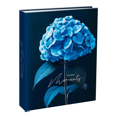 Фотоальбом 100 фото 10*15см, ArtSpace "Hydrangea"